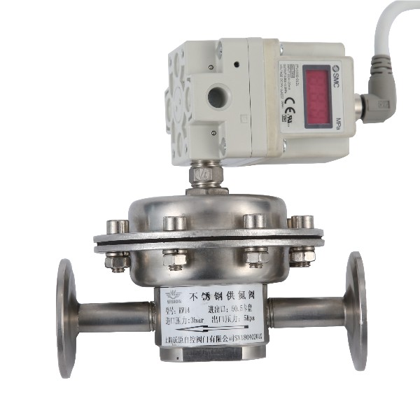 與背壓閥配套使用的計量螺桿泵質材選型問題