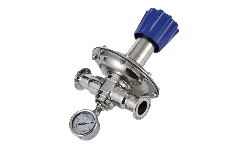 衛生級背壓閥